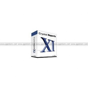 Crystal Reports XI Developer