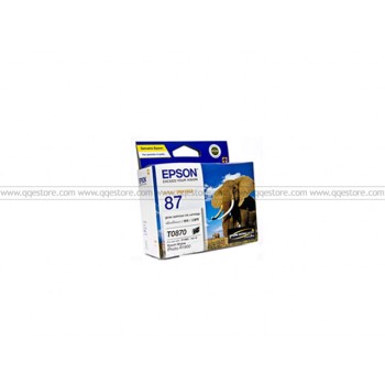 Epson C13T087090 Gloss Optimizer Ink Cartridge (Double Pack)