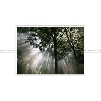 IKEA PREMIAR Crescendo Of Light Picture