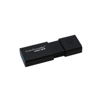 Kingston DT100 Flash Drive 256GB