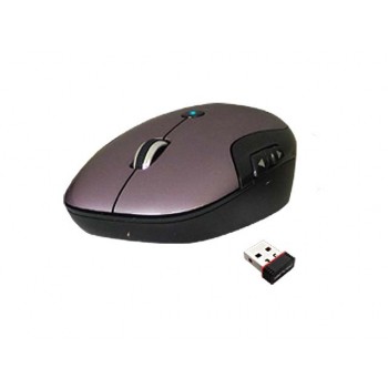 Prolink 2.4GHz Wireless Nano Optical Mouse PMO714G