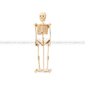 3D DIY Model: Human Skeleton