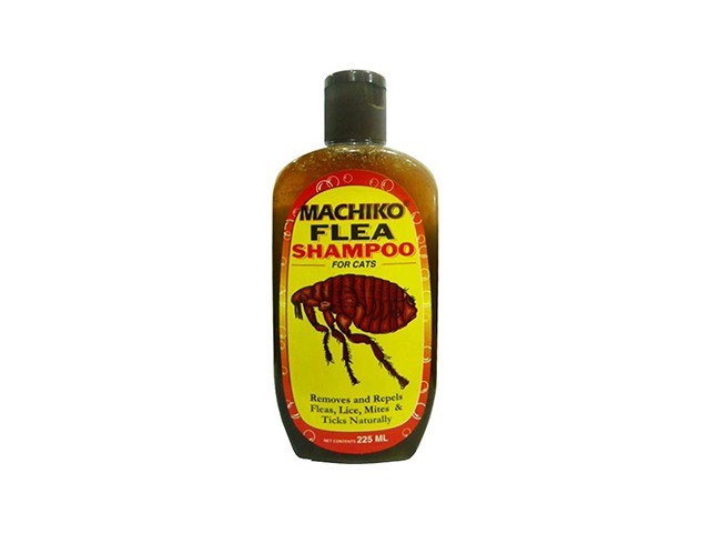 Fido cat 2024 shampoo