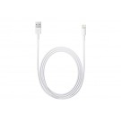 Apple Lightning to USB Cable (1m)