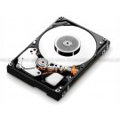 Hitachi Ultrastar 1TB Enterprise Hard Disk