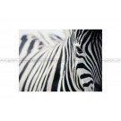 IKEA PJATTERYD Zebra Picture