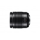 Panasonic Lumix G 12-60mm f3.5-5.6 Asph OIS 