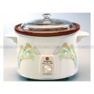 Pensonic Slow Cooker PSC-682