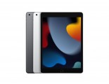 Apple iPad 10.2 (2021) Wifi/4G 256GB