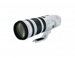 Canon EF 200-400mm F/4L IS USM Extender 1.4x