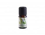 Tanamera Essential Oil Citronella 10ml