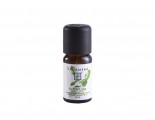 Tanamera Essential Oil Kaffir Lime 10ml