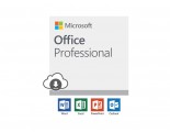 Microsoft Office Professional 2019 