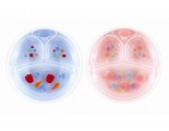 Nurtria Divided Warming Plate