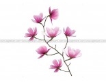 IKEA SLATTHULT Magnolia Decoration Stickers