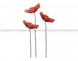 IKEA SLATTHULT Poppy Decoration Stickers