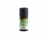 Tanamera Essential Oil Sweet Basil 10ml 