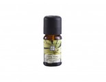 Tanamera Essential Oil Ylang Ylang 10ml