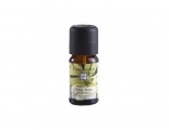 Tanamera Essential Oil Ylang Ylang 10ml