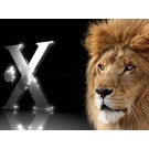 Apple Mac OS X Lion