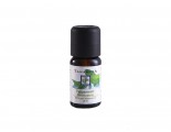Tanamera Essential Oil Peppermint 10ml
